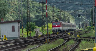 Kırmızı elektrikli lokomotifli yolcu treni ve yaz akşamları kırmızı yolcu vagonları.