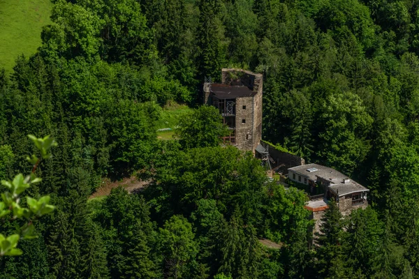 Schockl Colina Castelo Ehrenfels Perto Cidade Sankt Radegund Cor Verão — Fotografia de Stock