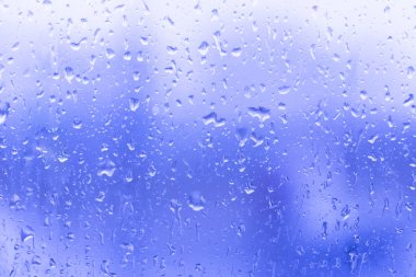 bir cam üzerinde yağmur damlaları