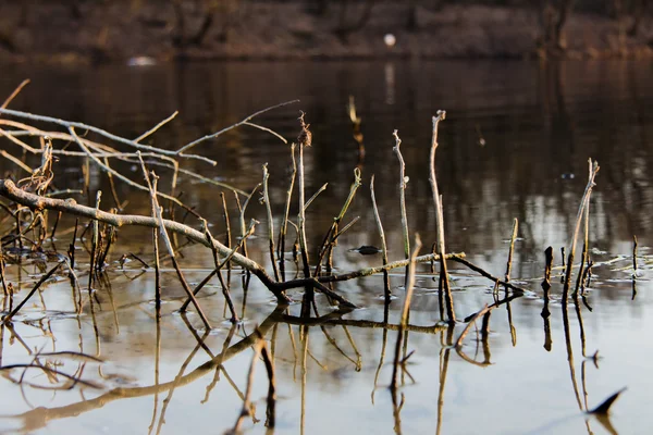 Río madera fondo — Foto de Stock