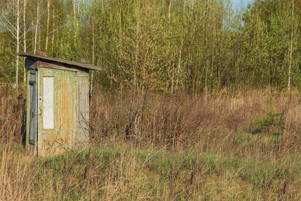Toilette nella foresta primaverile — Foto Stock