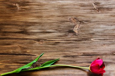  Ahşap arka planda lale