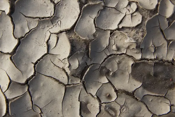 Kurumuş ve kırılmış çamur.