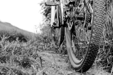 çim ve yol bir arka plan üzerinde bisiklet arka görünüm