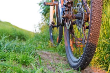 çim ve yol bir arka plan üzerinde bisiklet arka görünüm