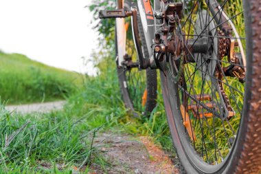 çim ve yol bir arka plan üzerinde bisiklet arka görünüm