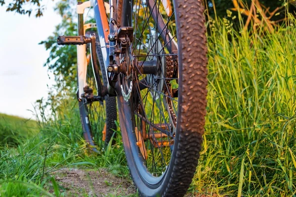 Велосипед вид сзади на фоне травы и дороги — стоковое фото
