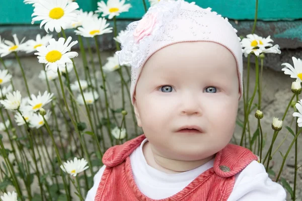 Baby i trädgården bakgrunden av camomiles — Stockfoto