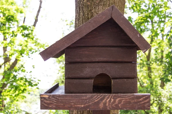 Haus für Vögel auf einem Baum — Stockfoto