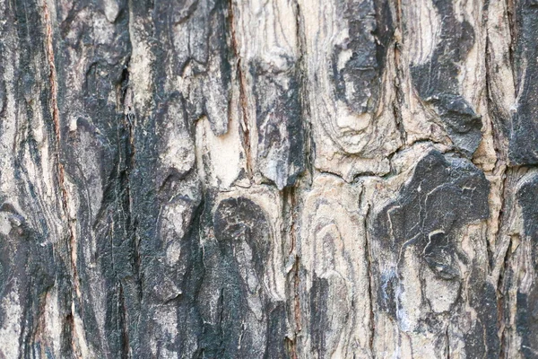 Texturu dřeva 150 — Stock fotografie