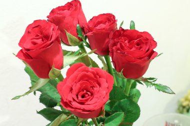 kırmızı gül 2715