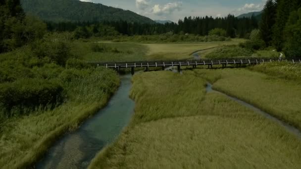 Вид з повітря на дерев'яний міст — стокове відео