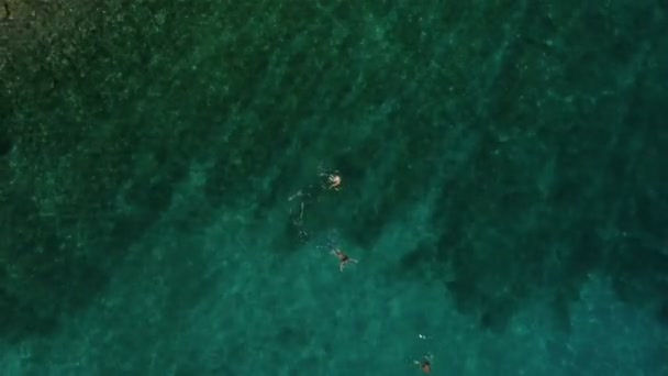 Les filles nagent et plongent dans l'eau de mer claire et peu profonde 