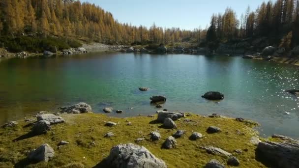 Baja aérea que pasa sobre el lago de montaña y los árboles — Vídeo de stock