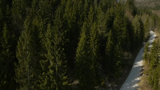 Політ над ялиною, скеляста гірська долина з звивистою дорогою — стокове відео