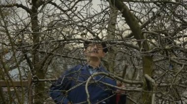 Bahçıvan arama şube Trim için