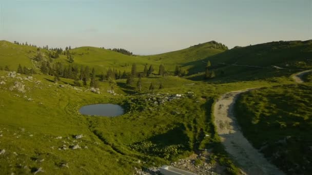 Vista aérea del riego del ganado y pastos alpinos — Vídeo de stock