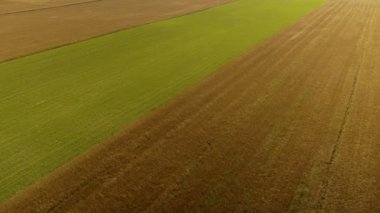 Orta hava görünümü altın ve yeşil alanlarının