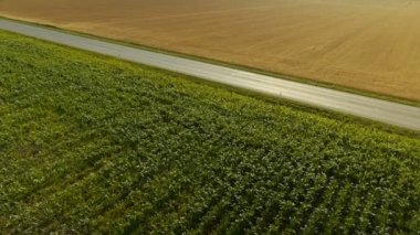 Yerel trafik alanlar arasında geçen orta hava