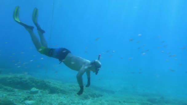 Plongeur trouver une étoile de mer rouge — Video