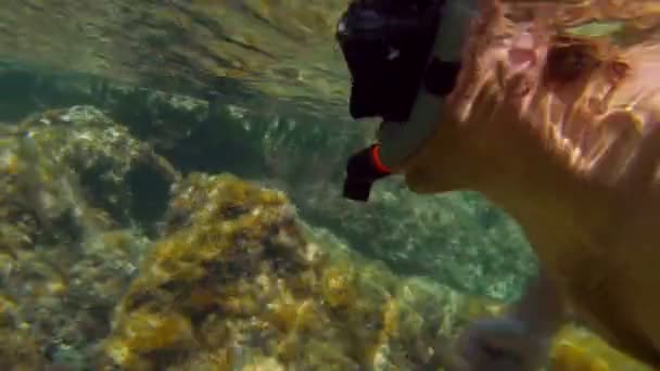 Mergulhador nadar olhar ao redor — Vídeo de Stock