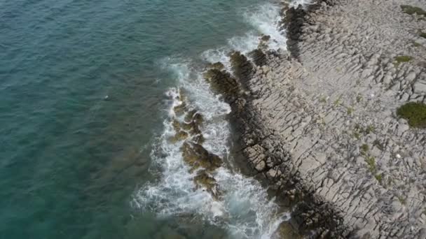 Zavřít zadní pohled na pobřeží moře — Stock video