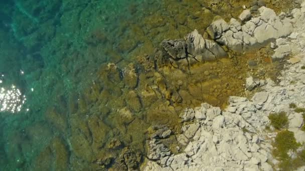 Panela Vista aérea da costa marítima — Vídeo de Stock