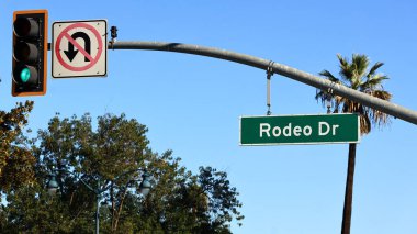 Beverly Hills, California: Rodeo Dr Sokak Tabelası