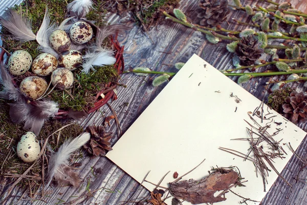 Carta de Páscoa decorada com ovos de codorna, gnezom, musgo, penas, cones de pinho e galhos de salgueiro em fundo de madeira — Fotografia de Stock