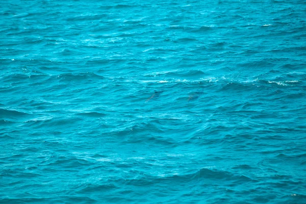 Egipto, norte de África. Hermoso color del mar rojo dos delfines bajo el agua — Foto de Stock