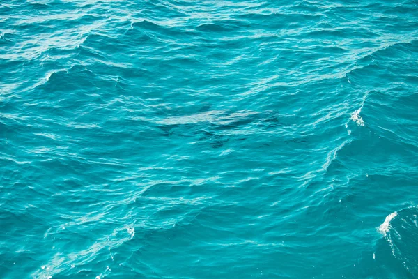 Egipto, norte de África. Hermoso color del mar rojo dos delfines bajo el agua — Foto de Stock