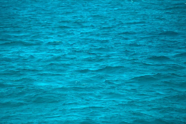 Egipto, norte de África. Hermoso color del mar rojo dos delfines bajo el agua — Foto de Stock
