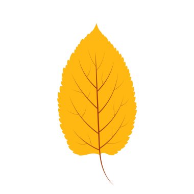 El çizimi turuncu sonbahar yaprağı beyaz arka planda izole. Vektör çizimi. Renkli sonbahar yaprakları. Karaağaç ya da kül yaprağı