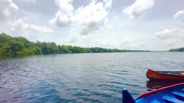 La Caimanera, Coveas, Kolombiya Karayipleri 'nde sakin su ve kürek kanoları olan mangrov ağaçlarının manzarası.