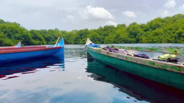 La Caimanera, Coveas, Kolombiya Karayipleri 'nde sakin mangrov sularında üç kürek kanosu.