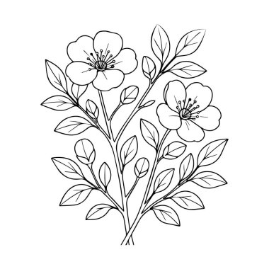 Sayfaları boyayan sevimli çocuklar, kolay ayva çiçeği, hanımeli çiçek vektör sanatı, basit çiçek çizimi, eşsiz çiçek boyama sayfası, güzel çiçekler ve soyutlanmış yapraklar.