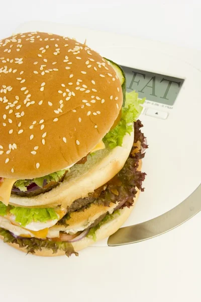 Burger-skála — Stock Fotó
