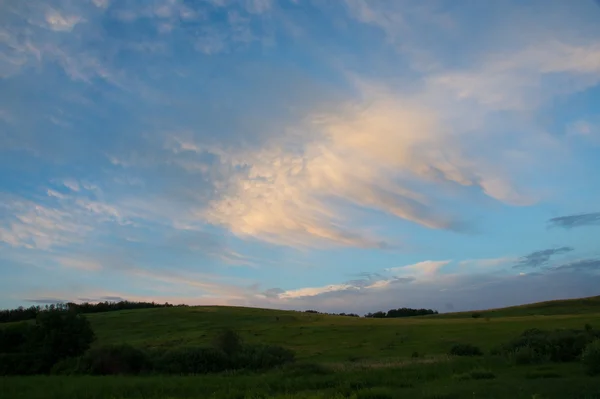 Grünes Feld und blauer Himmel mit leichten Wolken — Stockfoto