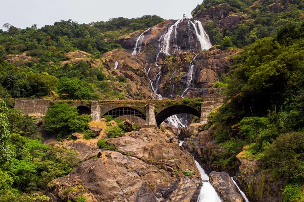 Şelale Dudhsagar Hindistan