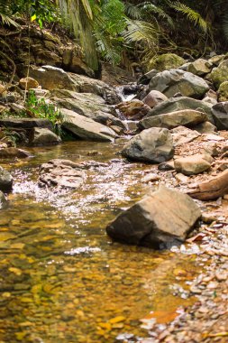 Küçük dere ve büyük taşlar