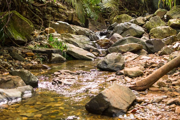 Küçük dere ve büyük taşlar