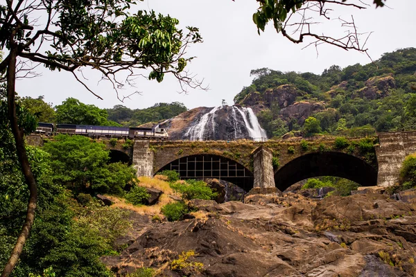 Dudhsagar şelale Goa