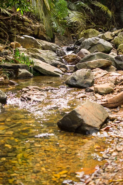 Küçük dere ve büyük taşlar