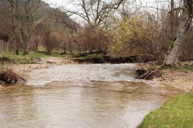 Ormanın içinden akan nehir dağ