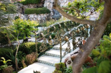 Green Park 'taki gölün üzerinde güzel bir köprü. Ağaçlar ve çiçeklerle çevrili güzel gölet ve yaya köprüleri..