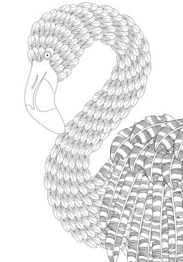 Tüyleri ve desenleri ve tüyleri ile Amazing flamingo