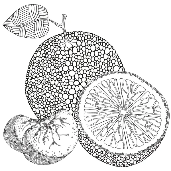 Portakal meyve seti — Stok Vektör