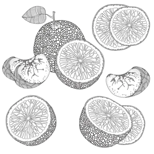Conjunto de frutas naranjas — Archivo Imágenes Vectoriales