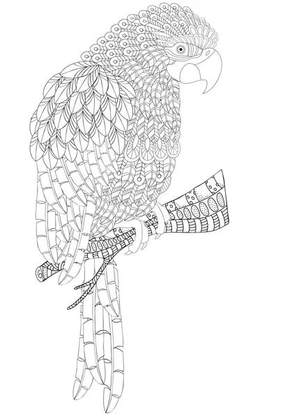 Úžasný papoušek s peří, vzorkem a peřím — Stockový vektor