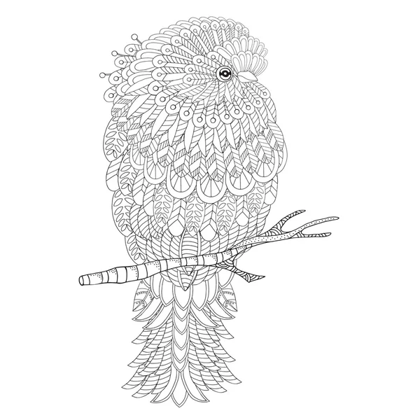 Tüyleri, desenleri ve tüyleri ile inanılmaz kuş — Stok Vektör